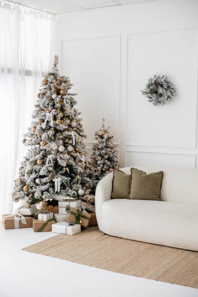 Christmas Portraits (Downtown Mooresville)